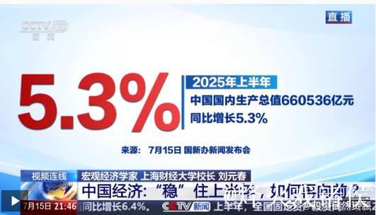 新闻1+1丨“稳”住上半年 中国经济如何再向前 新闻1+1丨“稳”住上半年 中国经济如何再向前